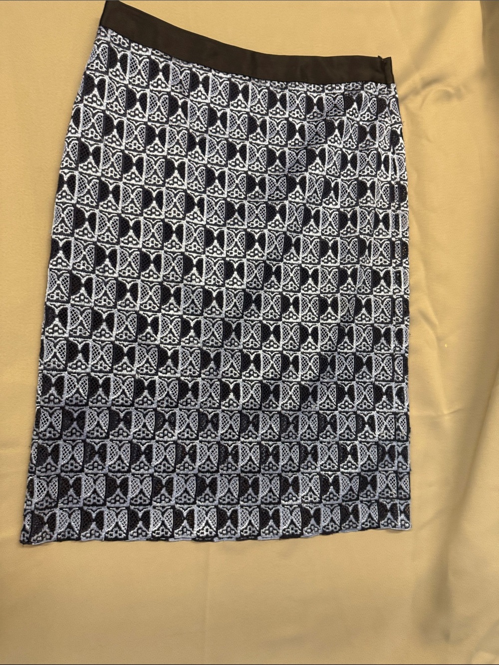 Derek Lam blue skirt